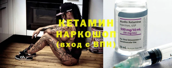 крисы Алексин