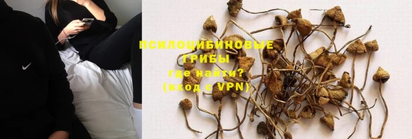прущая мука Алзамай