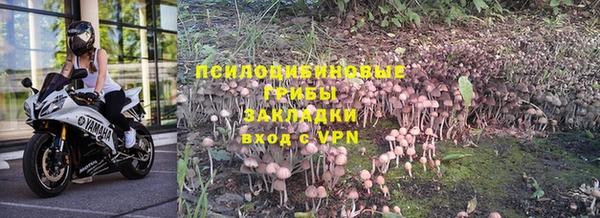 прущая мука Алзамай
