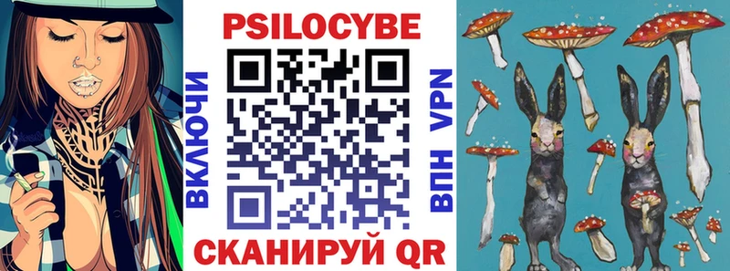 кракен tor Тверь Псилоцибиновые грибы Psilocybine cubensis